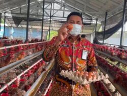 Hasilkan 300 Butir Telur, Lapas Narkotika Karang Intan Panen Dari Program Kemandirian WBP