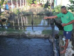 Semangat Reintegrasi Sosial Tercermin Dalam Program Budidaya Lele Lapas Kelas IIA Banjarmasin