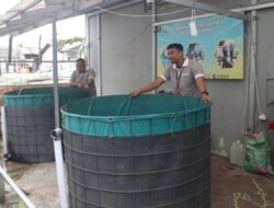 Rawat Kolam, Jaga Harapan: Warga Binaan Lapas Banjarmasin Bersihkan Kolam Lele