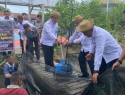 Hasilkan 86 Kilogram, Warga Binaan Lapas Banjarmasin Panen Ikan Lele Hasil Pembibitan Sendiri