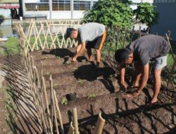 Langkah Inovatif Warga Binaan Lapas Banjarmasin Ciptakan Kebun Edukatif Dan Terapeutik