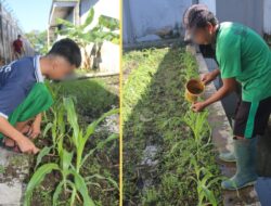 Lapas Kelas IIA Banjarmasin Tingkatkan Keterampilan Warga Binaan Lewat Berkebun