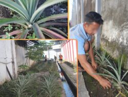 Pembinaan Produktif Di Lapas Banjarmasin Fokus Pada Keterampilan Bertani