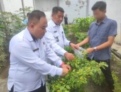 Lapas Banjarmasin Panen Cabai, Wujud Nyata Pembinaan Kemandirian Warga Binaan