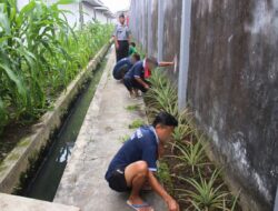 Lapas Banjarmasin Giatkan Pembinaan Hortikultura Melalui Perawatan Tanaman Nanas