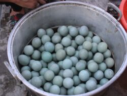 Lapas Banjarmasin Kembangkan Program Pembinaan Kemandirian Melalui Produksi Telur Asin