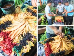 Lapas Banjarmasin Kembangkan Keterampilan Pewarnaan Sasirangan Bagi Warga Binaan