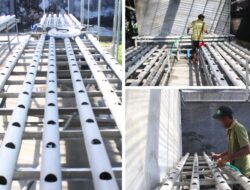 Lapas Banjarmasin Fasilitasi Pembersihan Instalasi Hidroponik Oleh Warga Binaan