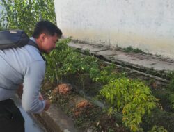 Lapas Banjarmasin Fasilitasi Pembinaan Berbasis Wirausaha Bagi Warga Binaan Melalui Budidaya Cabai