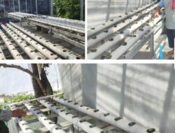 Lapas Banjarmasin Tingkatkan Keterampilan Pertanian Modern Untuk Warga Binaan