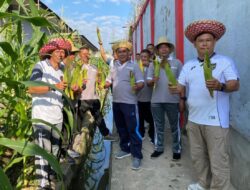Jagung Hasil Kebun Lapas Banjarmasin Diserahkan Ke Dapur Lapas Banjarmasin