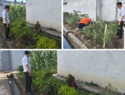Lapas Banjarmasin Dorong Kemandirian Ekonomi Melalui Kebun Cabai