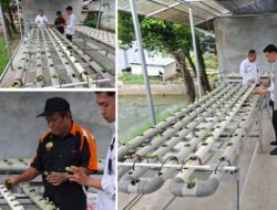 Selada Hidroponik Jadi Media Edukasi Warga Binaan Lapas Banjarmasin