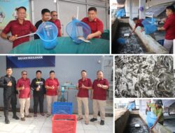 Kalapas Banjarmasin Apresiasi Peran WBP Dalam Budidaya Lele