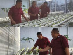 Pertanian Hidroponik Jadi Pembinaan Unggulan Lapas Banjarmasin