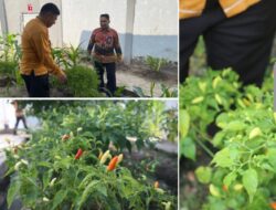 Kasubag TU Soroti Tata Letak Dan Kebersihan Kebun Cabai Lapas Banjarmasin
