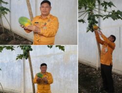 Lapas Banjarmasin Kembangkan Komoditas Pepaya Dalam Program Kemandirian