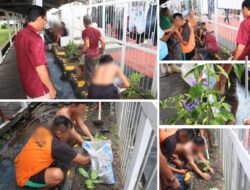 Lapas Banjarmasin Kembangkan Ketahanan Pangan Melalui Program Berkebun