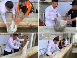 Dua Ribu Bibit Lele Ditebar Di Kolam Beton Lapas Banjarmasin