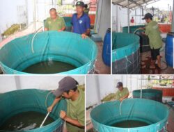Kolam Bioflok Jadi Sumber Produksi Lele Andalan Lapas Banjarmasin