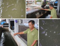 Budidaya Ikan Lele Dorong Kemandirian Warga Binaan Lapas Banjarmasin