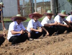 Lapas Narkotika Karang Intan Tanam Bibit Kangkung Dukung Program Ketahanan Pangan