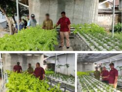 Petugas Lapas Banjarmasin Pastikan Perawatan Tanaman Hidroponik Berjalan Optimal