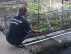 Program Berkebun WBP Lapas Banjarmasin Latih Disiplin Dan Tanggung Jawab