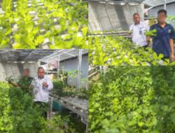 Program Hidroponik Lapas Banjarmasin Jadi Sarana Pelatihan Produktif Bagi Warga Binaan