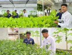 Warga Binaan Lapas Banjarmasin Kembangkan Budidaya Selada Dan Seledri Hidroponik