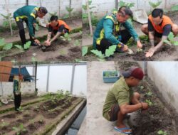Kegiatan Pertanian Sederhana Di Lapas Kelas II A Banjarmasin Tanamkan Nilai Kerja Keras Dan Kebersamaan