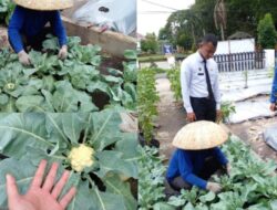 WBP Lapas Kelas IIA Banjarmasin Asah Keterampilan Bertani Lewat Program Ketahanan Pangan