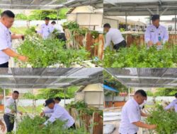 Panen Seledri Hidroponik Warnai Kegiatan Pembinaan di Lapas Banjarmasin