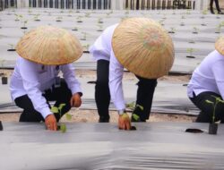 Kakanwil Imigrasi dan Pemasyarakatan Kalsel Gerakkan Pembinaan Pertanian di Lapas Banjarmasin