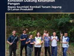 Bapas Saumlaki Perkuat Komitmen Ketahanan Pangan Lewat Penanaman Jagung