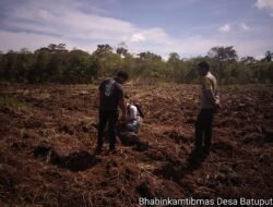 Bhabinkamtibmas Batuputih Dorong Ketahanan Pangan Lewat Sambang Petani