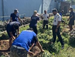 Warga Binaan Lapas Narkotika Karang Intan Panen 13 Kg Ubi Jalar Merah
