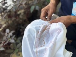 Menjahit Jelujur, Warga Binaan Lapas Narkotika Karang Intan Asah Ketelitian dan Keterampilan Sasirangan