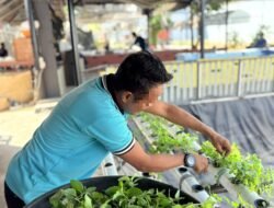 Lapas Narkotika Karang Intan Kembangkan Budidaya Hidroponik untuk Dukung Produksi Teh Mint Laskarin