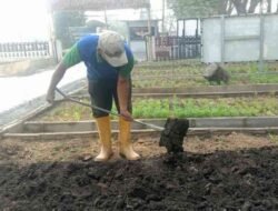Lapas Banjarmasin Kembangkan Pembinaan Pertanian melalui Budidaya Kangkung di SAE 1