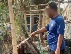 Warga Binaan Lapas Banjarmasin Rutin Siram Semangka untuk Jaga Pertumbuhan Tanaman
