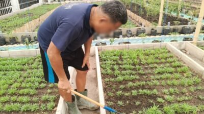 Jaga Kesuburan Tanah dan Pertumbuhan Kangkung, Lapas Banjarmasin Optimalkan Pemeliharaan