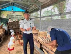 Lapas Banjarmasin Kembangkan Budidaya Ayam Petelur untuk Pembinaan Kemandirian Warga Binaan