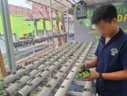 Lapas Banjarmasin Tanamkan Kedisiplinan WBP melalui Kegiatan Budidaya Seledri
