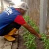 Budidaya Kangkung Jadi Media Pembelajaran Pertanian bagi WBP Lapas Banjarmasin
