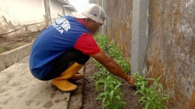 Budidaya Kangkung Jadi Media Pembelajaran Pertanian bagi WBP Lapas Banjarmasin