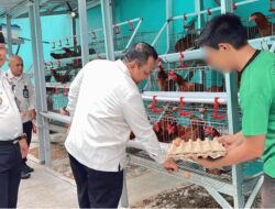 Lapas Banjarmasin Kembangkan Pembinaan Kemandirian melalui Budidaya Ayam Petelur